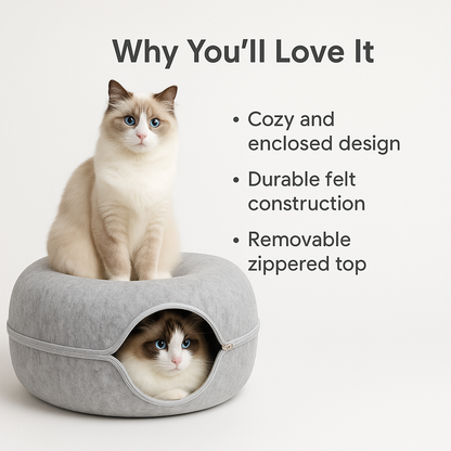 KittyCave ®